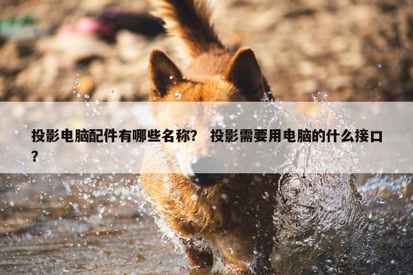 投影电脑配件有哪些名称？ 投影需要用电脑的什么接口？