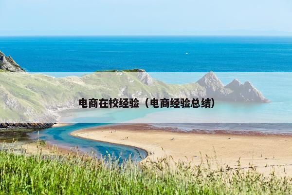 电商在校经验（电商经验总结）