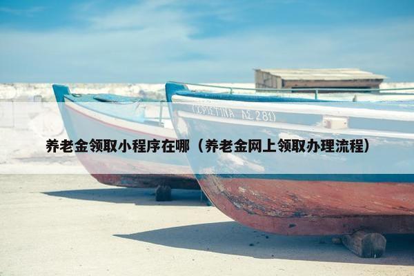 养老金领取小程序在哪（养老金网上领取办理流程）