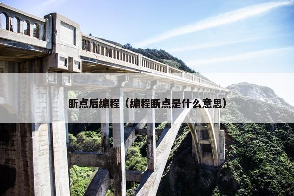 断点后编程（编程断点是什么意思）