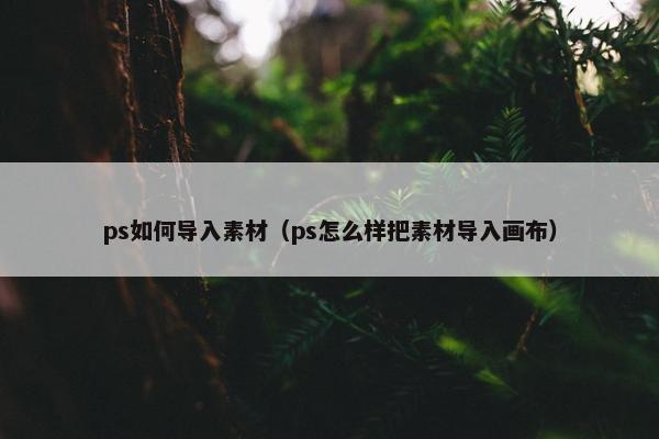 ps如何导入素材（ps怎么样把素材导入画布）