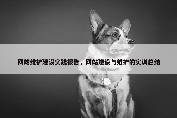 网站维护建设实践报告，网站建设与维护的实训总结