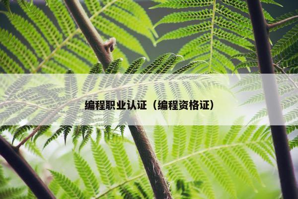 编程职业认证（编程资格证）