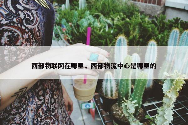 西部物联网在哪里，西部物流中心是哪里的