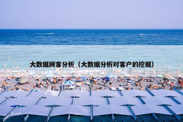 大数据顾客分析（大数据分析对客户的挖掘）
