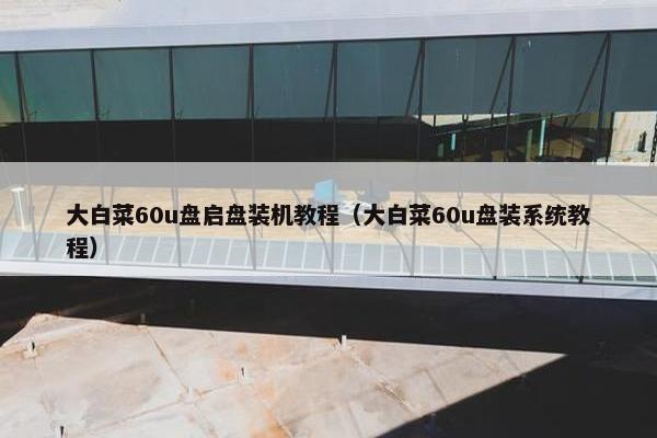 大白菜60u盘启盘装机教程（大白菜60u盘装系统教程）