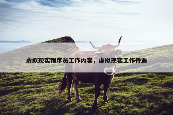 虚拟现实程序员工作内容，虚拟现实工作待遇