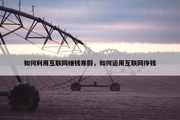 如何利用互联网赚钱寒假，如何运用互联网挣钱