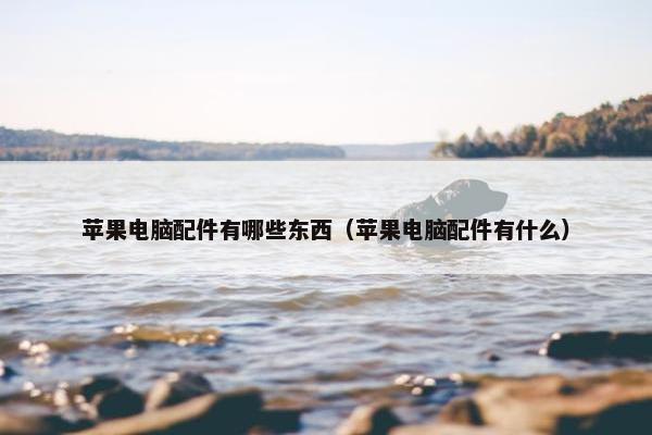 苹果电脑配件有哪些东西（苹果电脑配件有什么）