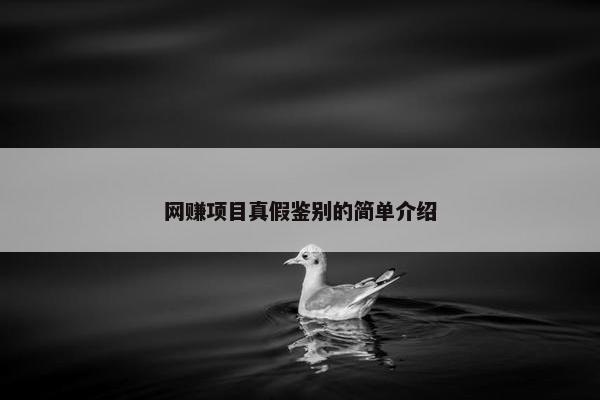 网赚项目真假鉴别的简单介绍