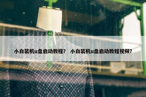 小白装机u盘启动教程？ 小白装机u盘启动教程视频？