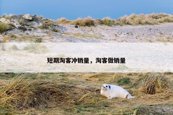 短期淘客冲销量，淘客做销量
