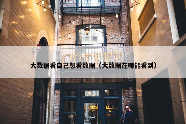 大数据看自己想看数据（大数据在哪能看到）