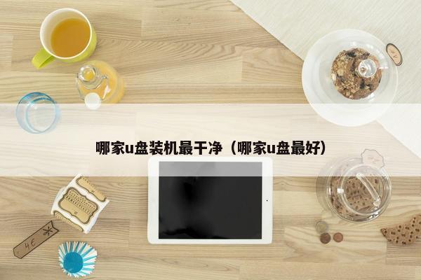 哪家u盘装机最干净（哪家u盘最好）