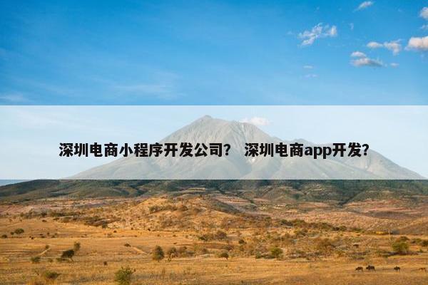 深圳电商小程序开发公司？ 深圳电商app开发？