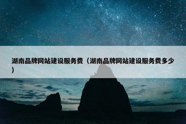 湖南品牌网站建设服务费（湖南品牌网站建设服务费多少）