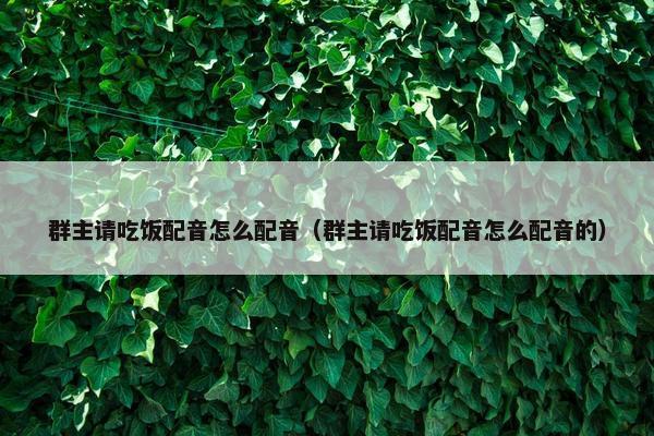 群主请吃饭配音怎么配音（群主请吃饭配音怎么配音的）