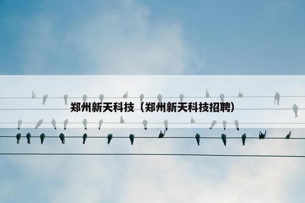 郑州新天科技（郑州新天科技招聘）