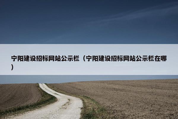 宁阳建设招标网站公示栏（宁阳建设招标网站公示栏在哪）