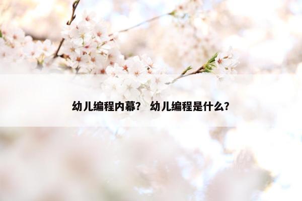 幼儿编程内幕？ 幼儿编程是什么？