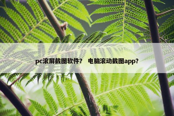 pc滚屏截图软件？ 电脑滚动截图app？