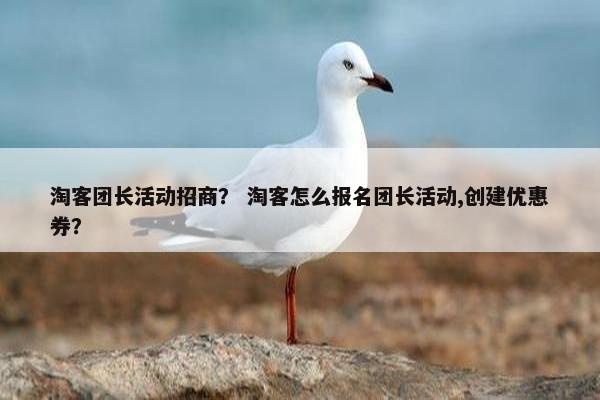 淘客团长活动招商？ 淘客怎么报名团长活动,创建优惠券？