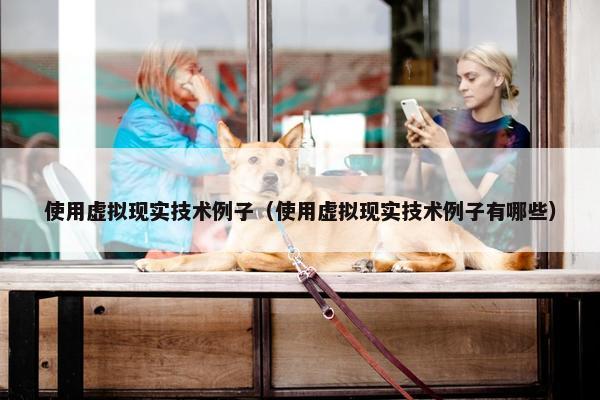 使用虚拟现实技术例子（使用虚拟现实技术例子有哪些）