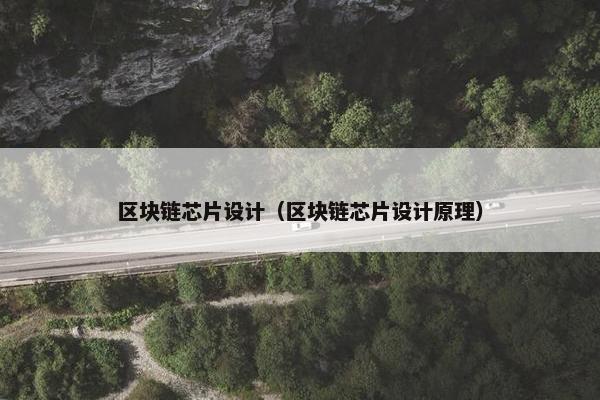 区块链芯片设计（区块链芯片设计原理）