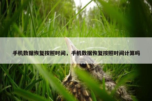 手机数据恢复按照时间，手机数据恢复按照时间计算吗