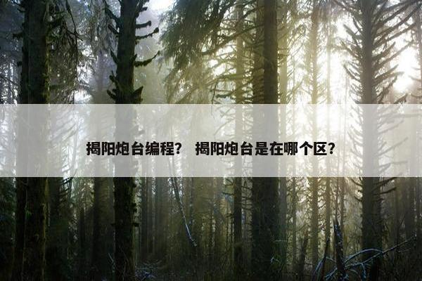 揭阳炮台编程？ 揭阳炮台是在哪个区？