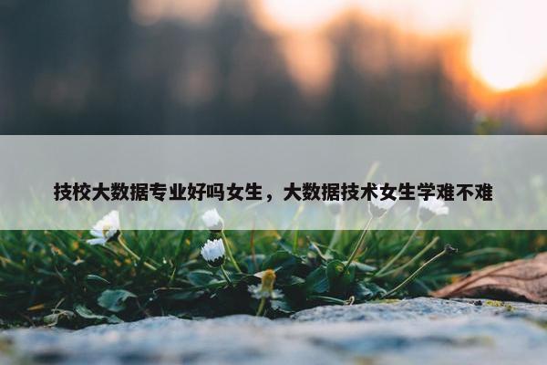 技校大数据专业好吗女生，大数据技术女生学难不难