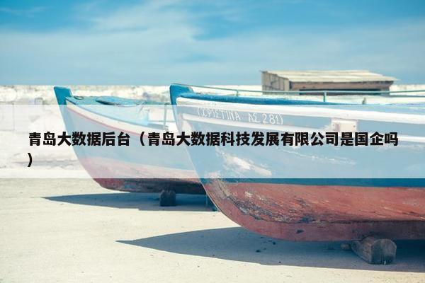 青岛大数据后台（青岛大数据科技发展有限公司是国企吗）