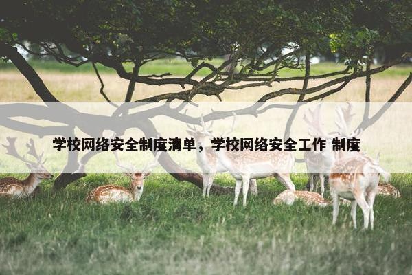 学校网络安全制度清单，学校网络安全工作 制度
