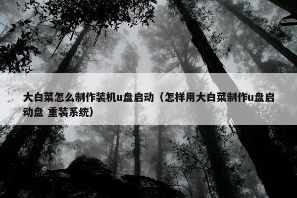 大白菜怎么制作装机u盘启动（怎样用大白菜制作u盘启动盘 重装系统）