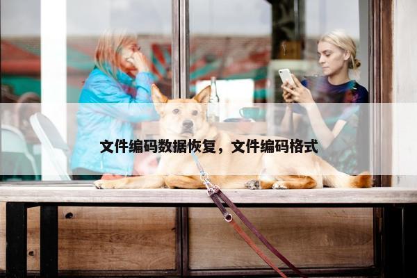 文件编码数据恢复，文件编码格式