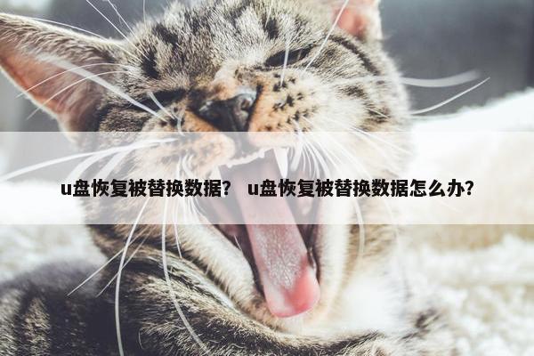 u盘恢复被替换数据？ u盘恢复被替换数据怎么办？