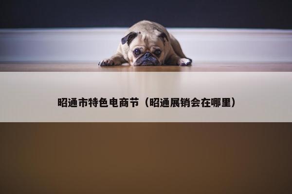 昭通市特色电商节（昭通展销会在哪里）