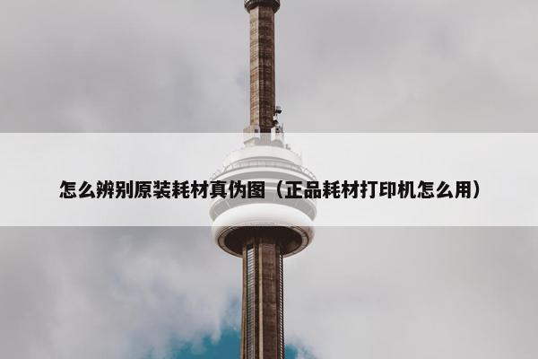 怎么辨别原装耗材真伪图（正品耗材打印机怎么用）