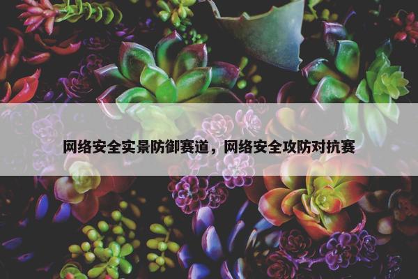 网络安全实景防御赛道，网络安全攻防对抗赛