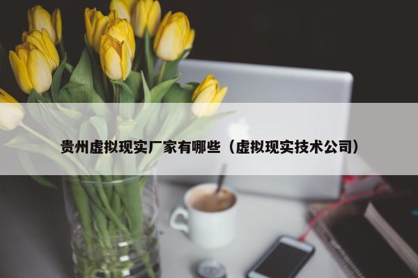贵州虚拟现实厂家有哪些（虚拟现实技术公司）