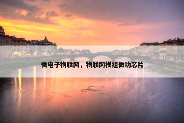 微电子物联网，物联网模组微功芯片
