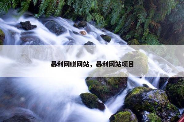 暴利网赚网站，暴利网站项目