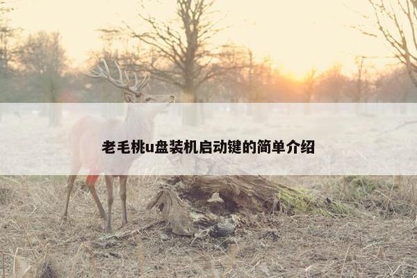 老毛桃u盘装机启动键的简单介绍