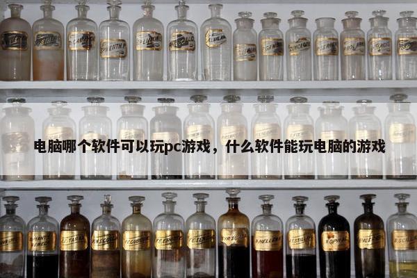 电脑哪个软件可以玩pc游戏，什么软件能玩电脑的游戏