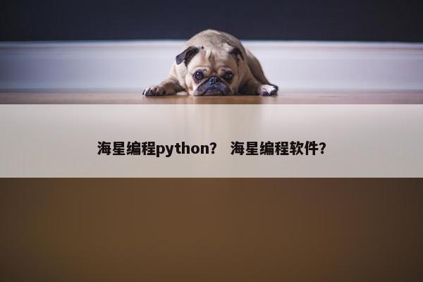 海星编程python？ 海星编程软件？
