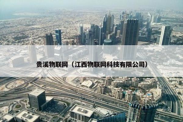 贵溪物联网（江西物联网科技有限公司）