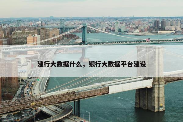 建行大数据什么，银行大数据平台建设