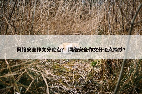 网络安全作文分论点？ 网络安全作文分论点摘抄？