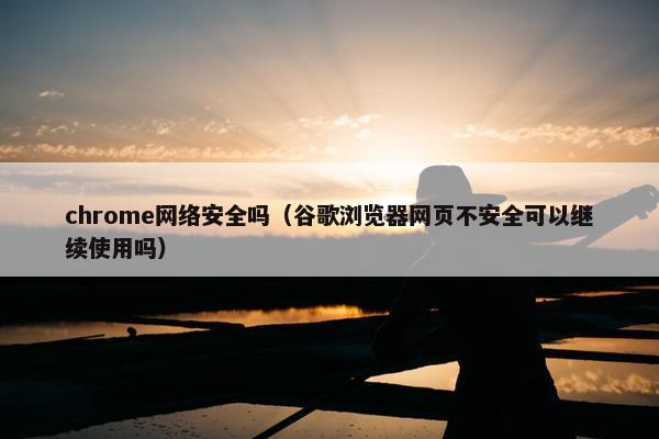 chrome网络安全吗（谷歌浏览器网页不安全可以继续使用吗）