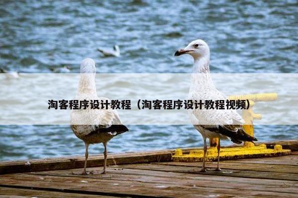 淘客程序设计教程（淘客程序设计教程视频）